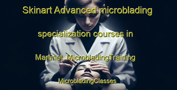 Skinart Advanced microblading specialization courses in Martinet | MicrobladingTraining | MicrobladingClasses | SkinartTraining-France