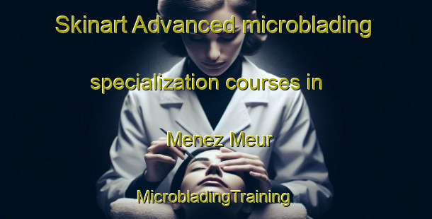 Skinart Advanced microblading specialization courses in Menez Meur | #MicrobladingTraining #MicrobladingClasses #SkinartTraining-France