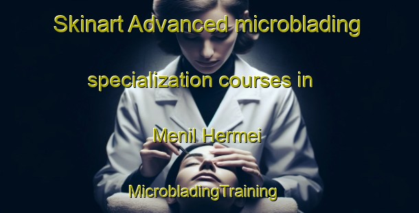 Skinart Advanced microblading specialization courses in Menil Hermei | MicrobladingTraining | MicrobladingClasses | SkinartTraining-France