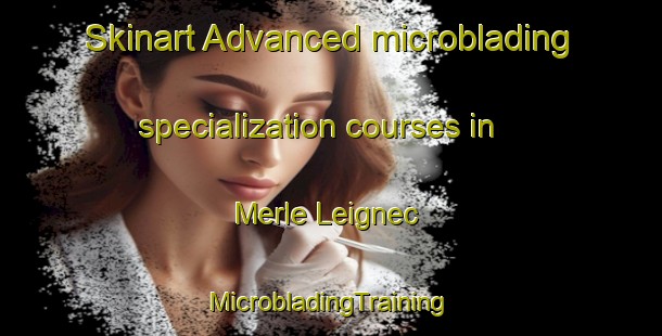 Skinart Advanced microblading specialization courses in Merle Leignec | #MicrobladingTraining #MicrobladingClasses #SkinartTraining-France