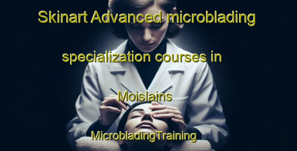 Skinart Advanced microblading specialization courses in Moislains | MicrobladingTraining | MicrobladingClasses | SkinartTraining-France