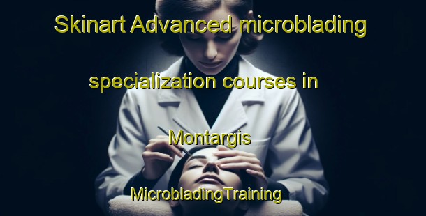 Skinart Advanced microblading specialization courses in Montargis | MicrobladingTraining | MicrobladingClasses | SkinartTraining-France