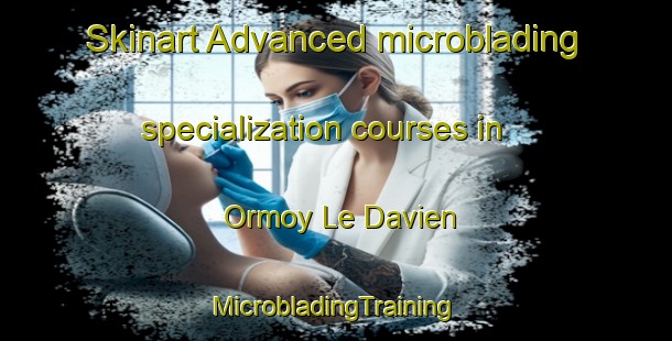 Skinart Advanced microblading specialization courses in Ormoy Le Davien | #MicrobladingTraining #MicrobladingClasses #SkinartTraining-France