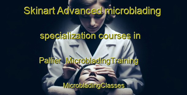 Skinart Advanced microblading specialization courses in Pallier | #MicrobladingTraining #MicrobladingClasses #SkinartTraining-France