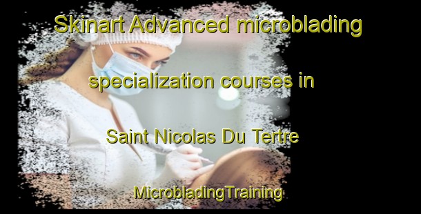 Skinart Advanced microblading specialization courses in Saint Nicolas Du Tertre | #MicrobladingTraining #MicrobladingClasses #SkinartTraining-France