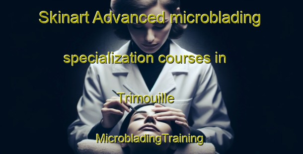 Skinart Advanced microblading specialization courses in Trimouille | #MicrobladingTraining #MicrobladingClasses #SkinartTraining-France