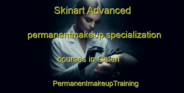 Skinart Advanced permanentmakeup specialization courses in Cateri | #PermanentmakeupTraining #PermanentmakeupClasses #SkinartTraining-France