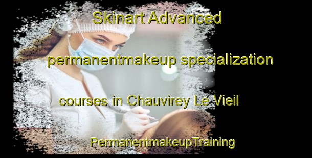 Skinart Advanced permanentmakeup specialization courses in Chauvirey Le Vieil | #PermanentmakeupTraining #PermanentmakeupClasses #SkinartTraining-France