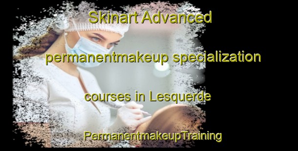 Skinart Advanced permanentmakeup specialization courses in Lesquerde | PermanentmakeupTraining | PermanentmakeupClasses | SkinartTraining-France