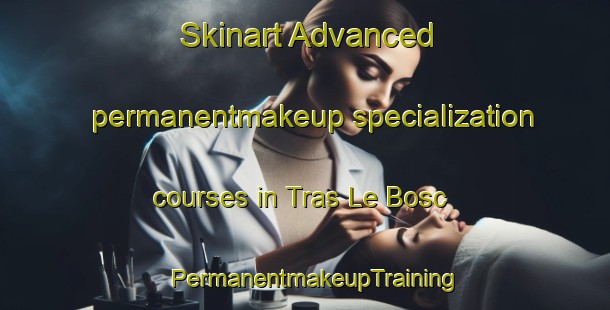 Skinart Advanced permanentmakeup specialization courses in Tras Le Bosc | PermanentmakeupTraining | PermanentmakeupClasses | SkinartTraining-France