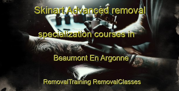 Skinart Advanced removal specialization courses in Beaumont En Argonne | #RemovalTraining #RemovalClasses #SkinartTraining-France