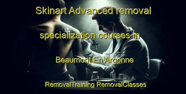 Skinart Advanced removal specialization courses in Beaumont En Argonne | #RemovalTraining #RemovalClasses #SkinartTraining-France