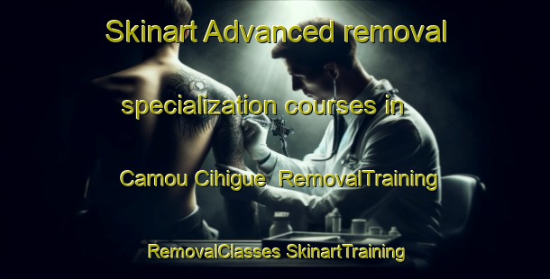 Skinart Advanced removal specialization courses in Camou Cihigue | #RemovalTraining #RemovalClasses #SkinartTraining-France