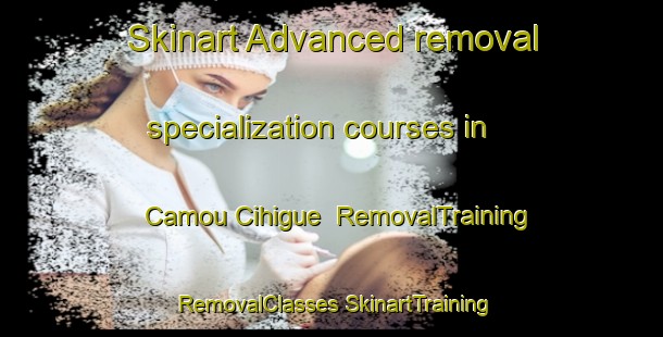 Skinart Advanced removal specialization courses in Camou Cihigue | #RemovalTraining #RemovalClasses #SkinartTraining-France