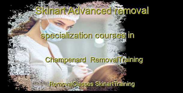 Skinart Advanced removal specialization courses in Champenard | #RemovalTraining #RemovalClasses #SkinartTraining-France