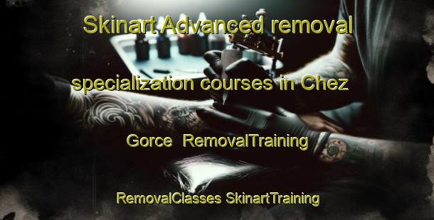 Skinart Advanced removal specialization courses in Chez Gorce | #RemovalTraining #RemovalClasses #SkinartTraining-France