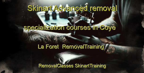 Skinart Advanced removal specialization courses in Coye La Foret | #RemovalTraining #RemovalClasses #SkinartTraining-France