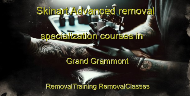 Skinart Advanced removal specialization courses in Grand Grammont | #RemovalTraining #RemovalClasses #SkinartTraining-France