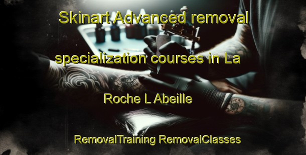 Skinart Advanced removal specialization courses in La Roche L Abeille | #RemovalTraining #RemovalClasses #SkinartTraining-France