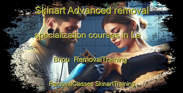 Skinart Advanced removal specialization courses in Le Briou | #RemovalTraining #RemovalClasses #SkinartTraining-France