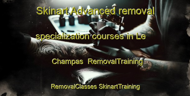 Skinart Advanced removal specialization courses in Le Champas | #RemovalTraining #RemovalClasses #SkinartTraining-France