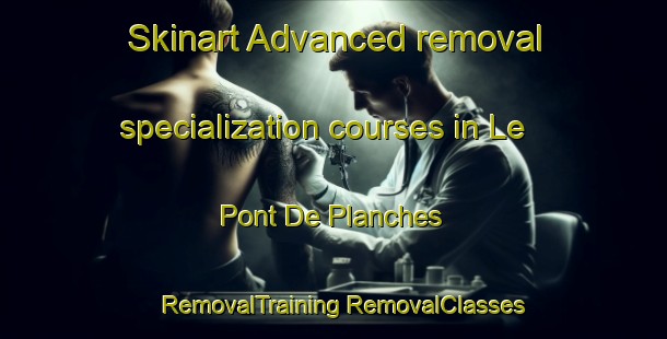 Skinart Advanced removal specialization courses in Le Pont De Planches | #RemovalTraining #RemovalClasses #SkinartTraining-France