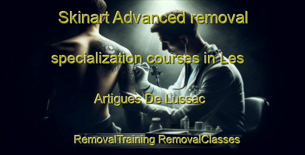 Skinart Advanced removal specialization courses in Les Artigues De Lussac | #RemovalTraining #RemovalClasses #SkinartTraining-France