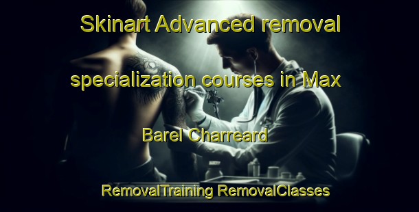 Skinart Advanced removal specialization courses in Max Barel Charreard | #RemovalTraining #RemovalClasses #SkinartTraining-France