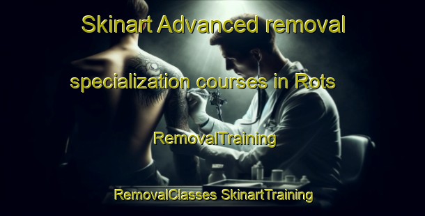 Skinart Advanced removal specialization courses in Rots | #RemovalTraining #RemovalClasses #SkinartTraining-France