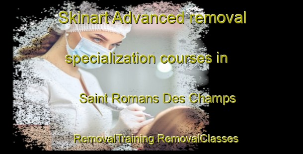 Skinart Advanced removal specialization courses in Saint Romans Des Champs | #RemovalTraining #RemovalClasses #SkinartTraining-France