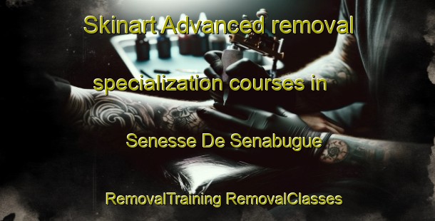 Skinart Advanced removal specialization courses in Senesse De Senabugue | #RemovalTraining #RemovalClasses #SkinartTraining-France