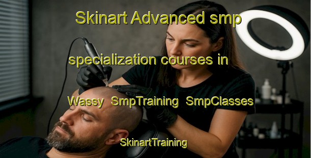 Skinart Advanced smp specialization courses in Wassy | SmpTraining | SmpClasses | SkinartTraining-France