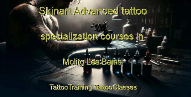 Skinart Advanced tattoo specialization courses in Molitg Les Bains | #TattooTraining #TattooClasses #SkinartTraining-France