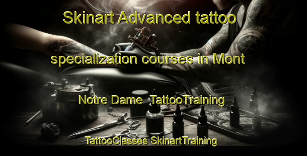 Skinart Advanced tattoo specialization courses in Mont Notre Dame | #TattooTraining #TattooClasses #SkinartTraining-France