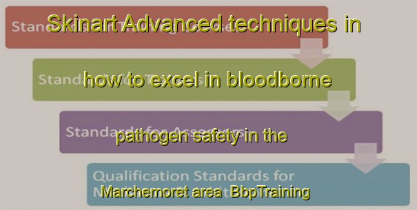Skinart Advanced techniques in how to excel in bloodborne pathogen safety in the Marchemoret area | BbpTraining | BbpClasses | SkinartTraining-France