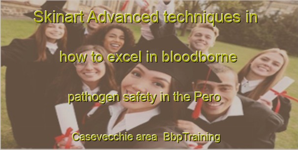 Skinart Advanced techniques in how to excel in bloodborne pathogen safety in the Pero Casevecchie area | BbpTraining | BbpClasses | SkinartTraining-France