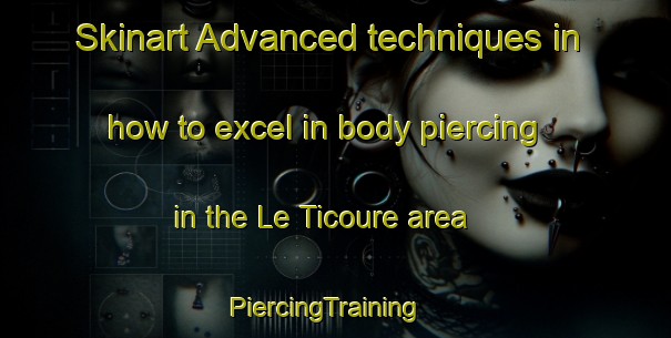 Skinart Advanced techniques in how to excel in body piercing in the Le Ticoure area | PiercingTraining | PiercingClasses | SkinartTraining-France