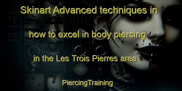 Skinart Advanced techniques in how to excel in body piercing in the Les Trois Pierres area | PiercingTraining | PiercingClasses | SkinartTraining-France