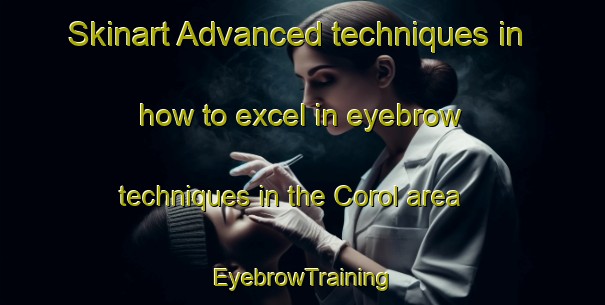 Skinart Advanced techniques in how to excel in eyebrow techniques in the Corol area | EyebrowTraining | EyebrowClasses | SkinartTraining-France