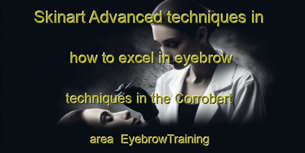 Skinart Advanced techniques in how to excel in eyebrow techniques in the Corrobert area | EyebrowTraining | EyebrowClasses | SkinartTraining-France