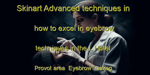 Skinart Advanced techniques in how to excel in eyebrow techniques in the L Hotel Provot area | EyebrowTraining | EyebrowClasses | SkinartTraining-France