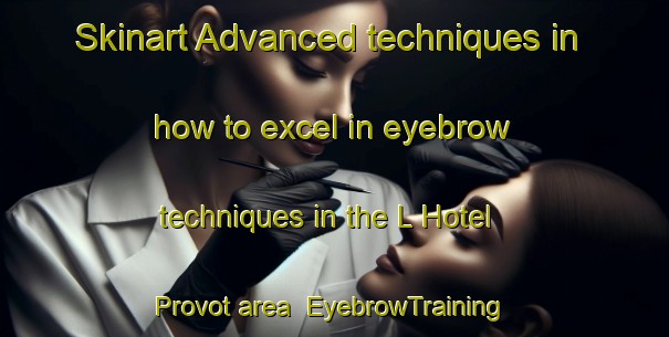 Skinart Advanced techniques in how to excel in eyebrow techniques in the L Hotel Provot area | EyebrowTraining | EyebrowClasses | SkinartTraining-France