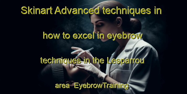 Skinart Advanced techniques in how to excel in eyebrow techniques in the Lesparrou area | EyebrowTraining | EyebrowClasses | SkinartTraining-France