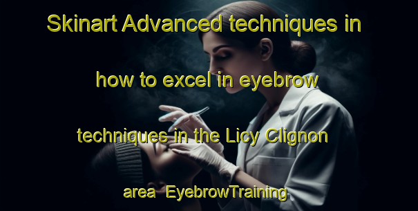 Skinart Advanced techniques in how to excel in eyebrow techniques in the Licy Clignon area | EyebrowTraining | EyebrowClasses | SkinartTraining-France