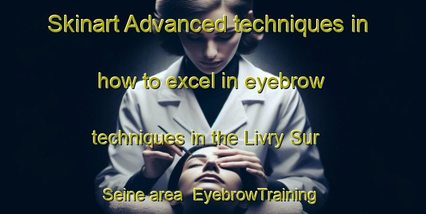 Skinart Advanced techniques in how to excel in eyebrow techniques in the Livry Sur Seine area | EyebrowTraining | EyebrowClasses | SkinartTraining-France