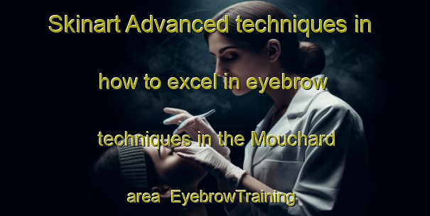 Skinart Advanced techniques in how to excel in eyebrow techniques in the Mouchard area | EyebrowTraining | EyebrowClasses | SkinartTraining-France