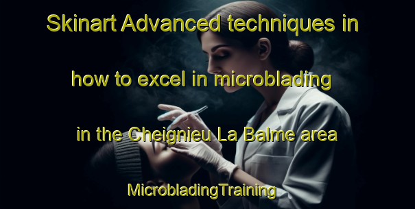 Skinart Advanced techniques in how to excel in microblading in the Cheignieu La Balme area | MicrobladingTraining | MicrobladingClasses | SkinartTraining-France