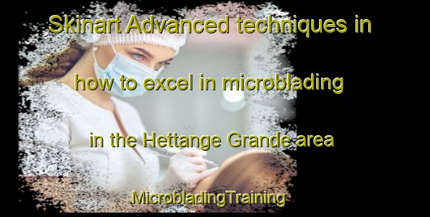 Skinart Advanced techniques in how to excel in microblading in the Hettange Grande area | MicrobladingTraining | MicrobladingClasses | SkinartTraining-France