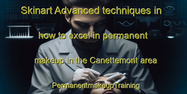Skinart Advanced techniques in how to excel in permanent makeup in the Canettemont area | PermanentmakeupTraining | PermanentmakeupClasses | SkinartTraining-France