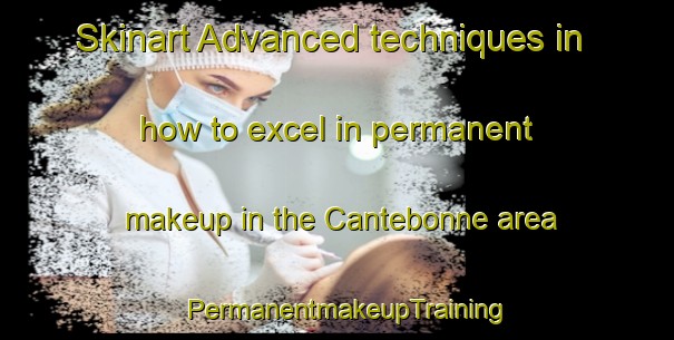 Skinart Advanced techniques in how to excel in permanent makeup in the Cantebonne area | PermanentmakeupTraining | PermanentmakeupClasses | SkinartTraining-France